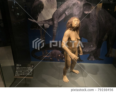 霍比特人 79198456