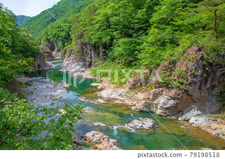 View from Ryuokyo Nijimi Bridge Nikko City 79198518