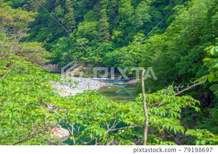 View from Ryuokyo Nijimi Bridge Nikko City 79198697