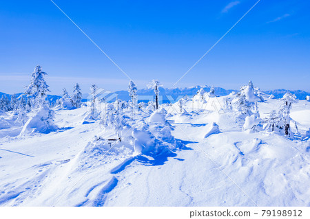 [Nagano Prefecture] Winter Kita Yatsugatake Rime Tsuboniwa Nature Park 79198912
