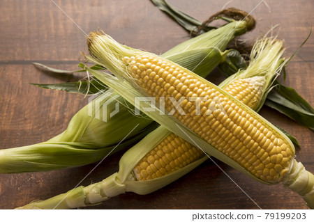 Image of taking corn stuff, exciting corn 79199203