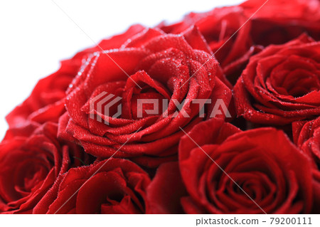 一朵紅玫瑰 79200111
