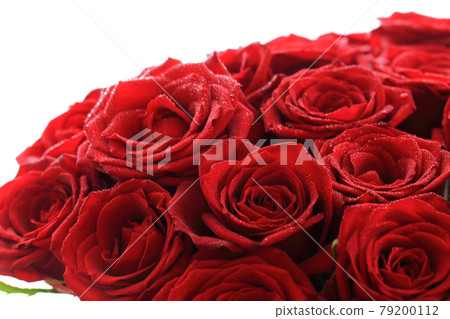 一朵紅玫瑰 79200112