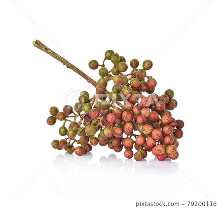 Zanthoxylum limonella Alston isolated on white background Zanthoxylum limonella Alston isolated on white background 79200116
