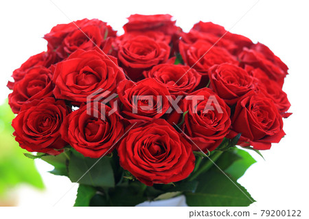 A red rose A red rose 79200122