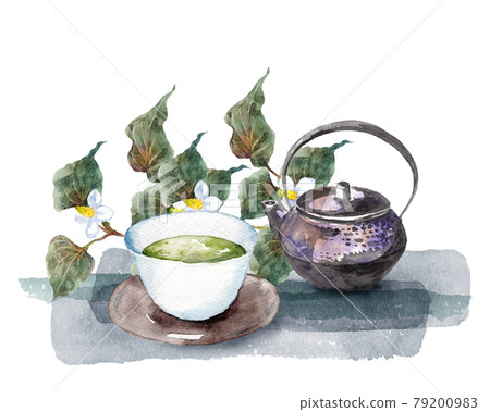 Watercolor painting of Houttuynia cordata and tea set Watercolor painting of Houttuynia cordata and tea set 79200983