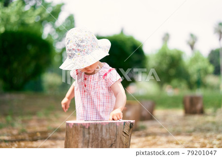 Little girl in a hat runs her finger over a tree stump Little girl in a hat runs her finger over a tree stump 79201047
