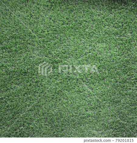 Green grass background, green lawn pattern textured background Green grass background, green lawn pattern textured background 79201815