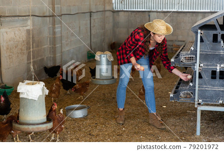 Portrait of woman farmer holding fresh eggs in hands in henhouse Portrait of woman farmer holding fresh eggs in hands in henhouse 79201972