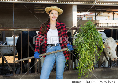 Young girl farmer feeding cows on dairy farm Young girl farmer feeding cows on dairy farm 79201975