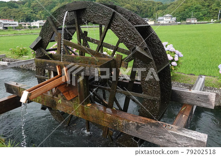 雨季的靖波水車 79202518