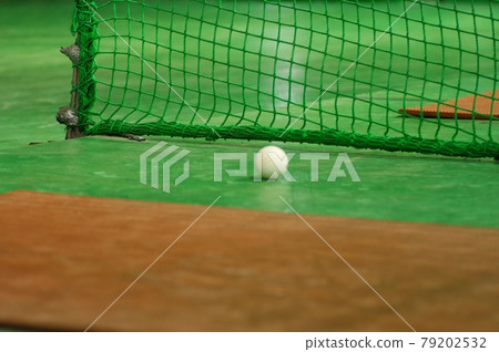 Bat and ball 79202532