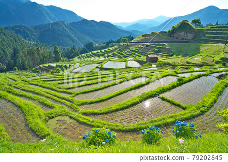 [Maruyama Chihada] Maruyama, Kiwa-cho, Kumano City, Mie Prefecture 79202845