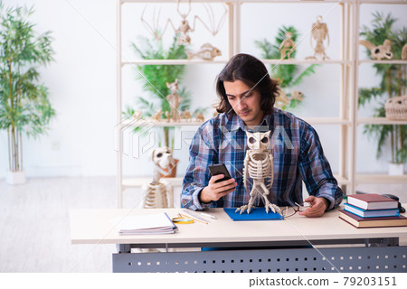 Young male teacher paleontologist in the classroom Young male teacher paleontologist in the classroom 79203151