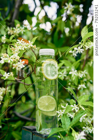 Bottle of water with slices of lemon and lime inside stands on a post near a flowering tree Bottle of water with slices of lemon and lime inside stands on a post near a flowering tree 79203241
