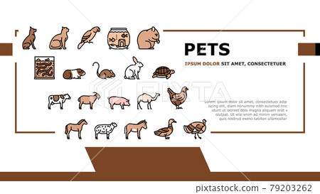 Pets Domestic Animal Landing Header Vector 79203262