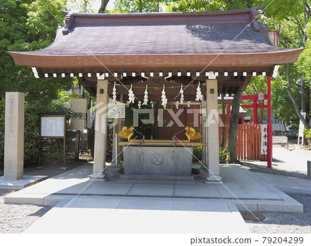 東京都江東區富岡八幡宮 79204299