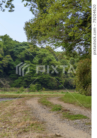Satoyama's trail Satoyama's trail 79204620