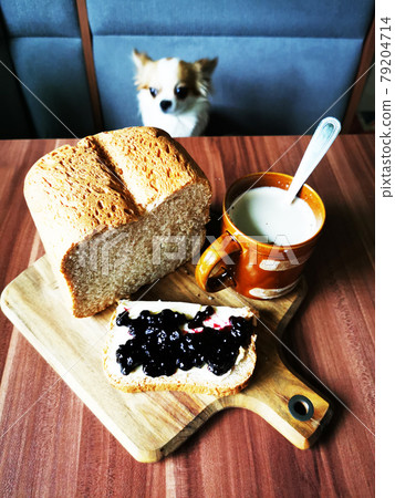 sweet bread and chihuahua 79204714