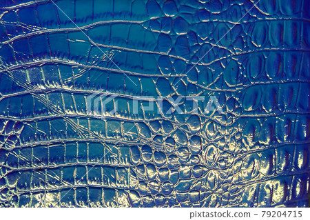 plastic crocodile skin texture 79204715