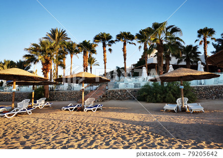 beach in the egypt beach in the egypt 79205642