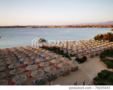 beach in the egypt beach in the egypt 79205645