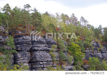 view from Pravcicka brana natural landscape 79206215