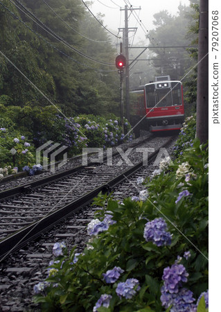 [OH] Hakone Tozan Railway Type 1000 79207068