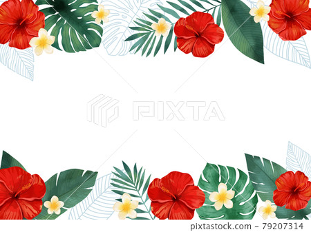 Tropical plant hibiscus and plumeria frame 79207314
