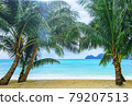 Tropical beach with coconut palm tree and sky background.Island summer sea.Beautiful coast white sand and bluse sea. 79207513