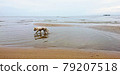 Dog walking on beach.Hungry dog on sea wave with morning sky background 79207518