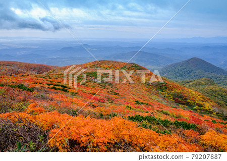 Autumn leaves of Mt. Kurikoma, upper part of the central course 79207887