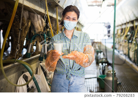 Woman in mask working at milking line Woman in mask working at milking line 79208283