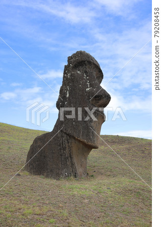 Rano Raraku Moai (Easter Island, Chile) 79208458