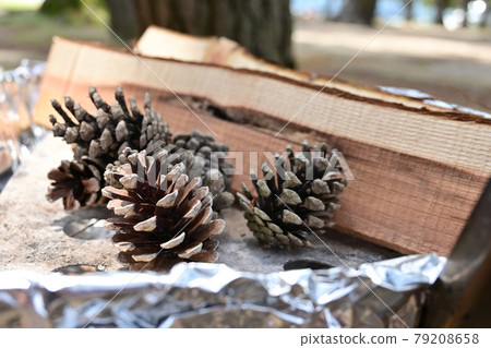 Pine cones are an ignition agent Pine cones are an ignition agent 79208658