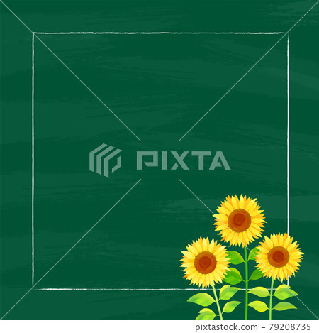 Background material_blackboard and sunflower sunflower 79208735