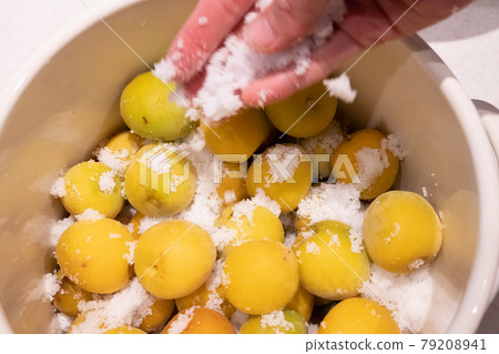 Umeboshi making 79208941