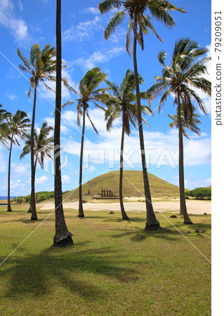Palm Trees and Ahu Now Now Moai (Easter Island, Chile) 79209051