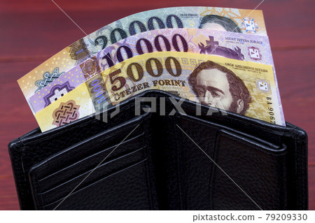 Hungarian money - forint in the black wallet 79209330