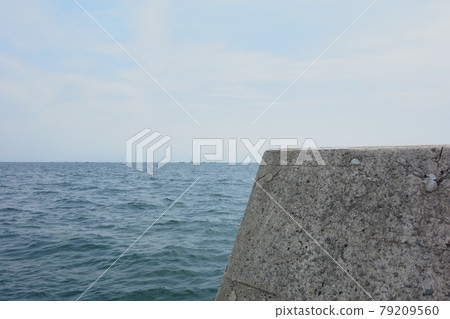 Breakwater and sea 79209560