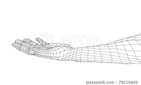 Open palm hand gesture of male hand. Vector Open palm hand gesture of male hand. Vector 79210809