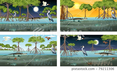 Different mangrove forest landscape scenes with various animals 79211306