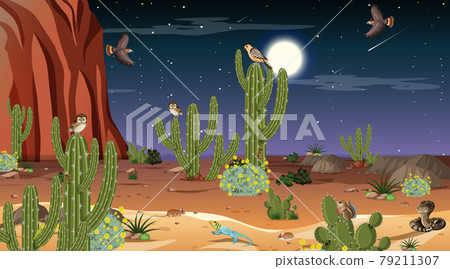 Desert forest landscape at night scene with desert animals and plants Desert forest landscape at night scene with desert animals and plants 79211307