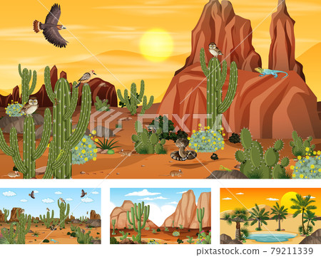 Four different desert forest landscape scenes with animals and plants Four different desert forest landscape scenes with animals and plants 79211339