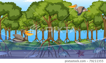 Animals live in Mangrove forest at daytime scene - Stock Illustration  [79211355] - PIXTA