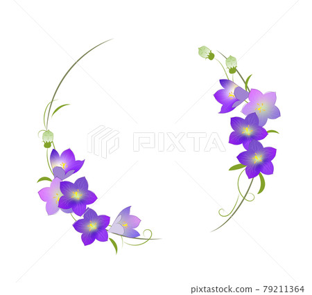 桔梗花 wreath_illustration 桔梗花 wreath_illustration 79211364