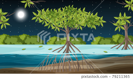 Mangrove forest landscape scene at night with many different animals Mangrove forest landscape scene at night with many different animals 79211365