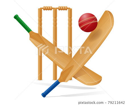 bat for playing cricket sport vector illustration 79211642