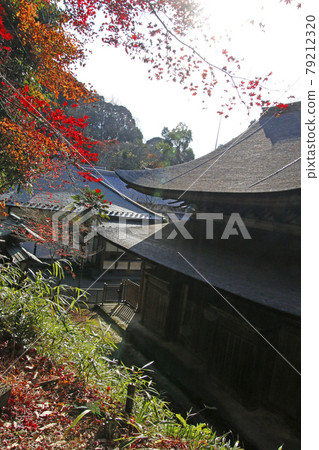 定光寺的秋葉風光 定光寺的秋葉風光 79212320