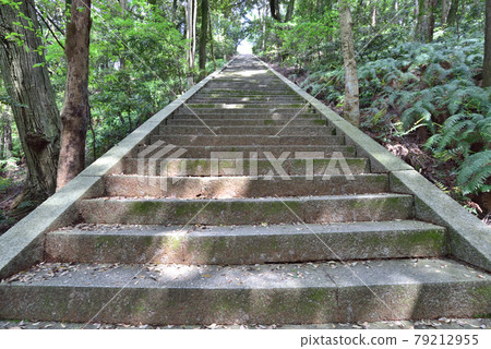 2021 Toyotomi Hideyoshi's graveyard that shines in the fresh green Kyoto "Toyogoku Mausoleum (Amidagamine summit)" 79212955